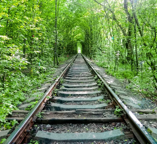 Love Tunnel Ukraine — Stock Photo, Image