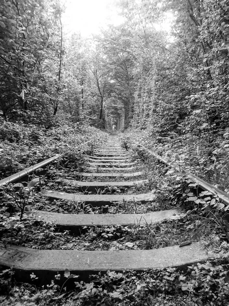 Aşk Tüneli Ukrayna