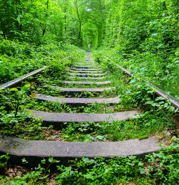 Love Tunnel Ukraine — Stock Photo, Image