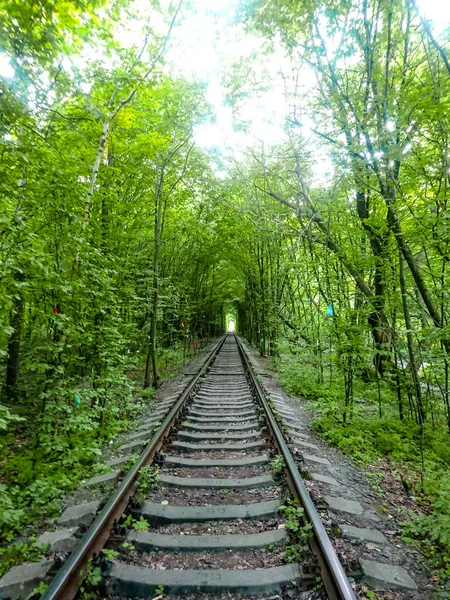 Túnel Amor Ucrania —  Fotos de Stock