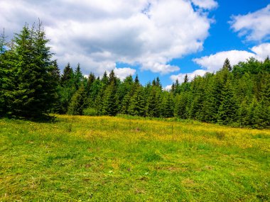 Ukrayna 'daki Karpat Dağları