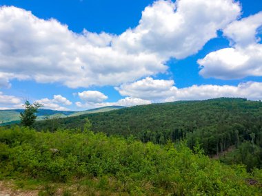 Ukrayna 'daki Karpat Dağları.