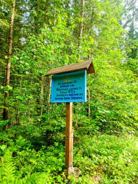 Ukrayna 'daki Karpat Dağları.