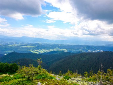 Ukrayna 'daki Karpat Dağları.