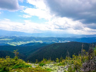 Ukrayna 'daki Karpat Dağları.