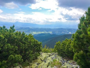Ukrayna 'daki Karpat Dağları.