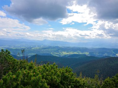 Ukrayna 'daki Karpat Dağları.