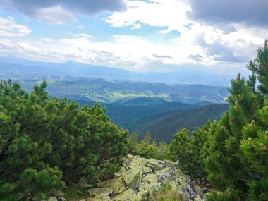 Ukrayna 'daki Karpat Dağları.