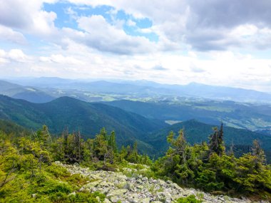 Ukrayna 'daki Karpat Dağları.