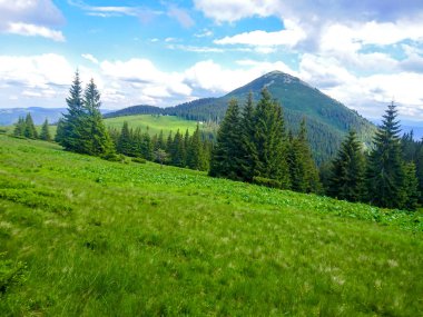 Ukrayna 'daki Karpat Dağları.
