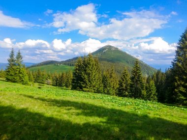 Ukrayna 'daki Karpat Dağları.