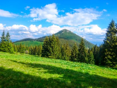 Ukrayna 'daki Karpat Dağları.