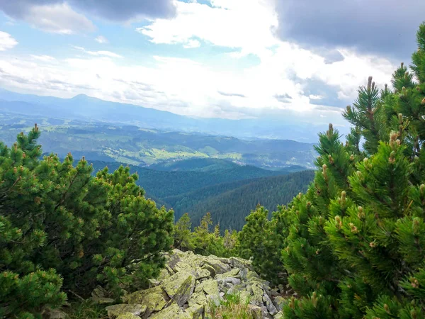 Montagne Carpatiche Ucraina — Foto Stock