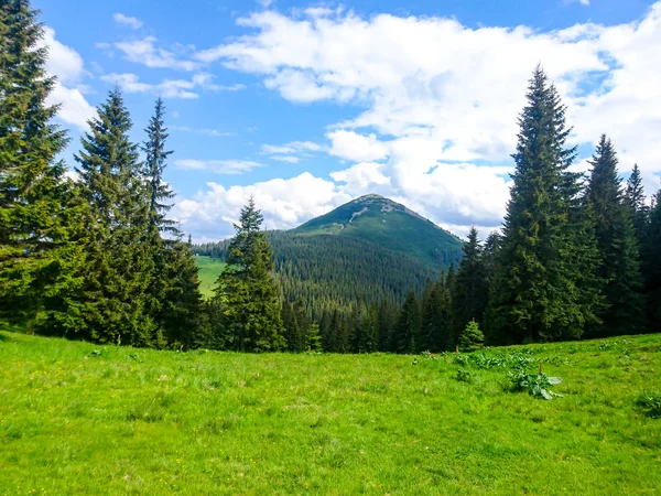 Ukrayna Daki Karpat Dağları — Stok fotoğraf