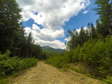 Ukrayna 'daki Karpat Dağları.