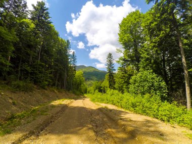 Ukrayna 'daki Karpat Dağları.