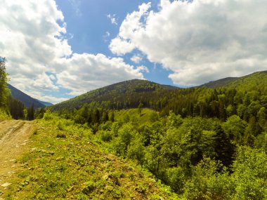 Ukrayna 'daki Karpat Dağları.