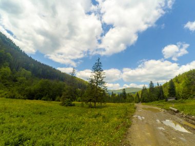 Ukrayna 'daki Karpat Dağları.