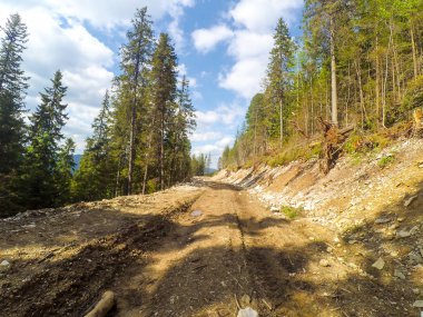 Ukrayna 'daki Karpat Dağları.