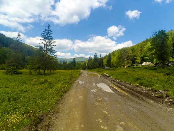 Montanhas Cárpatas Ucrânia — Fotografia de Stock