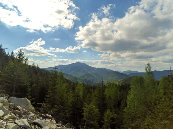 Karpaty Ukrainie — Zdjęcie stockowe