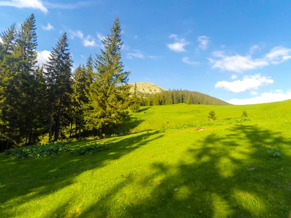 Karpaten Oekraïne — Stockfoto