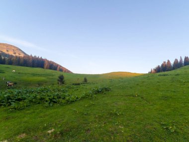 Ukrayna 'daki Karpat Dağları.