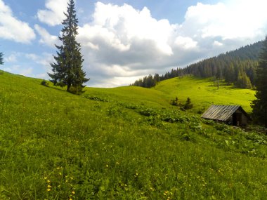 Ukrayna 'daki Karpat Dağları.