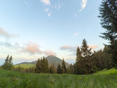 Ukrayna 'daki Karpat Dağları