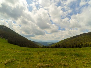 Ukrayna 'daki Karpat Dağları