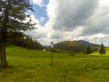 Ukrayna 'daki Karpat Dağları