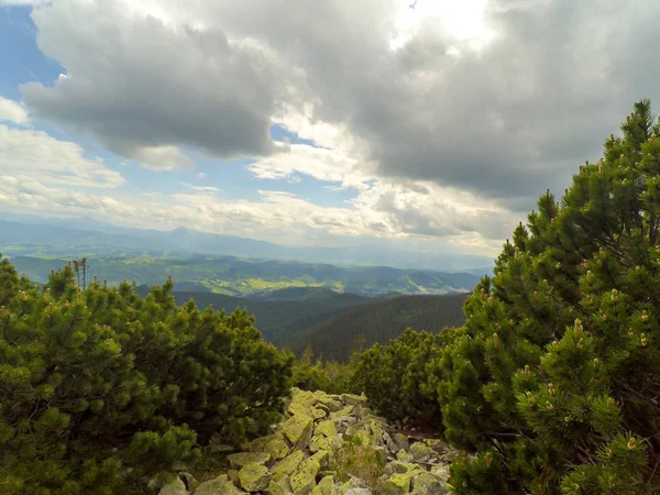 Montanhas Cárpatas Ucrânia — Fotografia de Stock