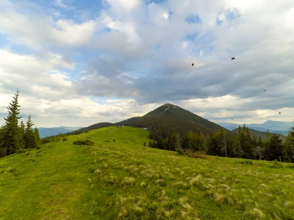 Montagnes Des Carpates Ukraine — Photo