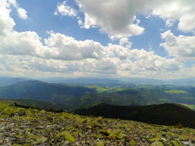 Ukrayna 'daki Karpat Dağları
