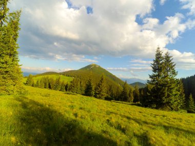 Ukrayna 'daki Karpat Dağları