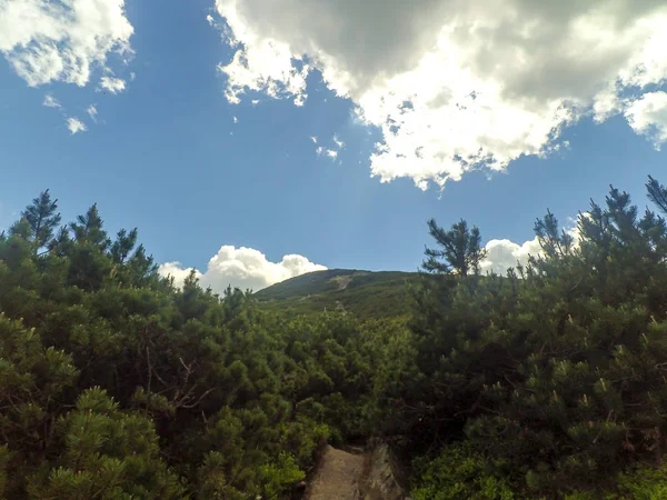 Montanhas Cárpatas Ucrânia — Fotografia de Stock