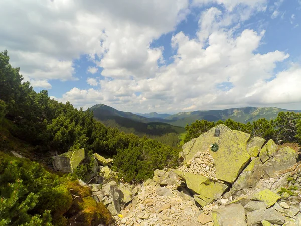 Montagne Carpatiche Ucraina — Foto Stock