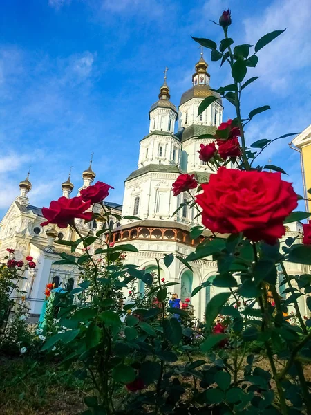 Kharkiv Ukrayna Avrupa Nın — Stok fotoğraf