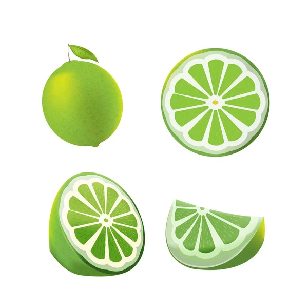 Vector aislado de fruta verde limón — Vector de stock