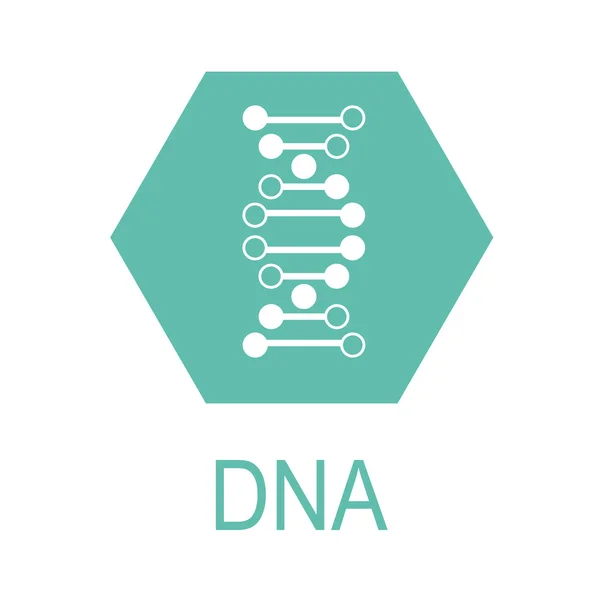 DNA ícone simples no fundo branco . —  Vetores de Stock