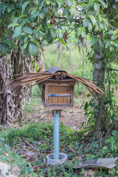 Casa de abelha de madeira no jardim — Fotografia de Stock