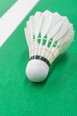 Beyaz badminton raketle