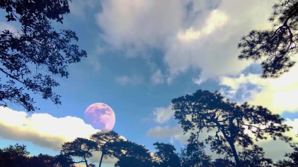 Nuage laps de temps avec la lune — Video