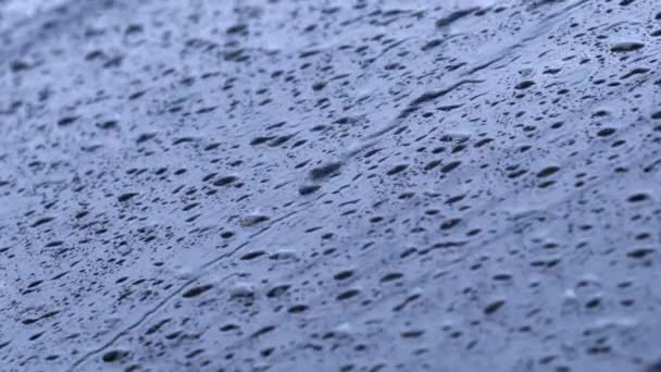 Капля дождя на окно — стоковое видео