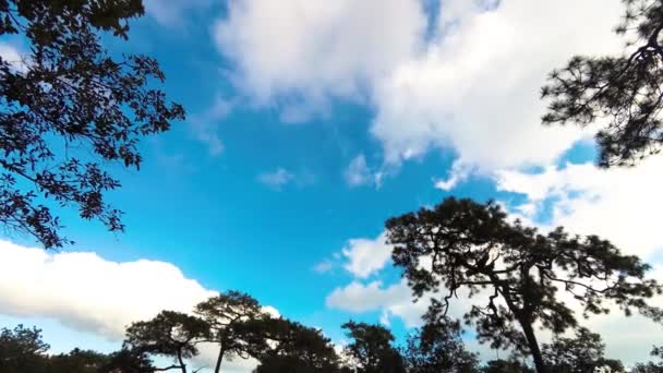 Zoom Cloud Time Lapse Blue Sky — Stock Video