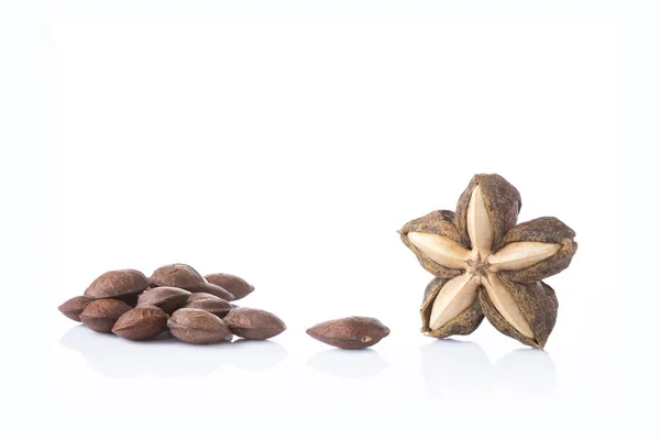 Beyaz masa ve arka plan üzerinde kurutulmuş Sacha InChI ham tohum fındık