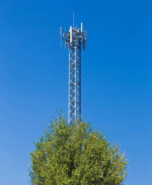 Torre celular e uma árvore com céu azul claro — Fotografia de Stock