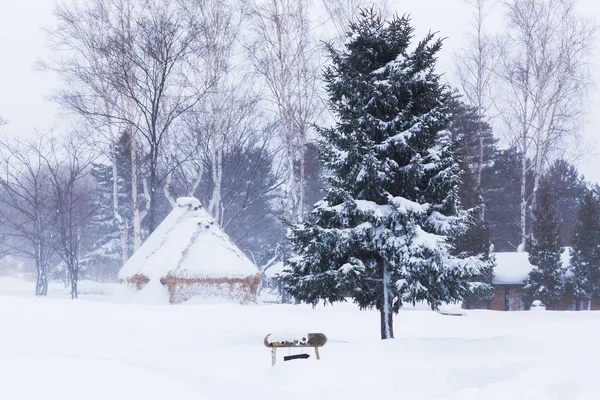 Trees and huts in public park in Hokkaido, Japan covered with th