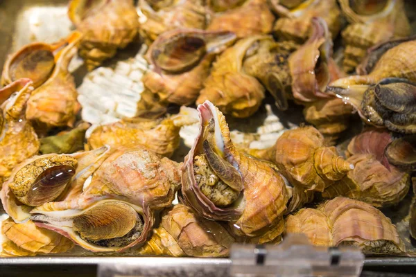 Concha, que se vende en el mercado fresco japonés en Otaru, Hokkaido, J — Foto de Stock