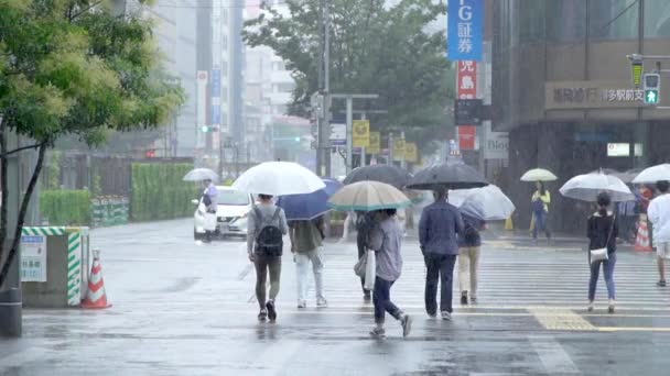 福岡県 2019年7月13日 7月13日の豪雨で傘を持って街を歩く人々のスローモーション — ストック動画